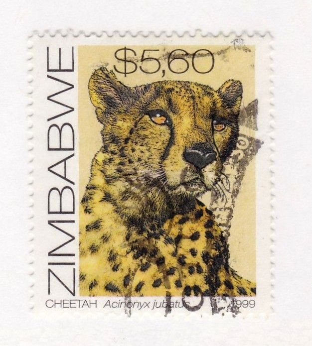 Zimbabwe        817               used