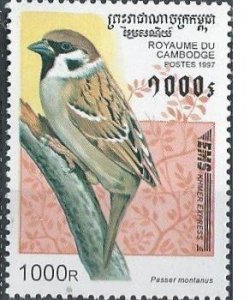 Cambodia 1600 (mnh) 1000r birds: Eurasian tree sparrow (P. montanus) (1997)