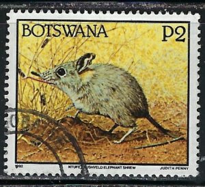 Botswana 533 Used 1992 issue (an5313)