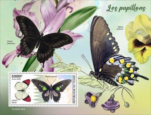 Chad - 2022 Butterflies, Crimson Tip - Stamp Souvenir Sheet - TCH220116b2