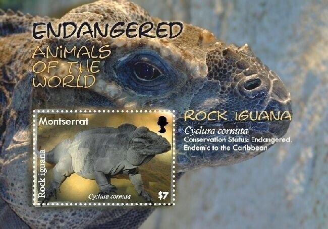 Montserrat 2008 - Endangered Rock Iguana - Souvenir Stamp Sheet Scott 1203 - MNH