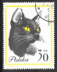 Poland 1216: 30g European Shorthair Cat, CTO, F-VF