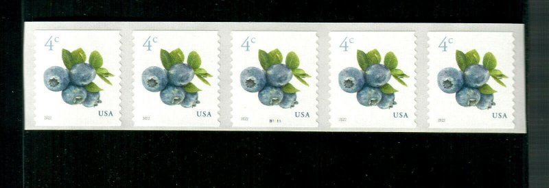 PNC5  Blueberries P#B11111 MNH 2022