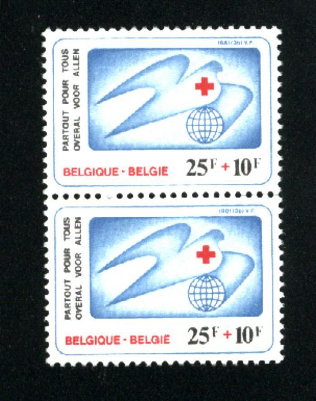 Belgium #B1004   Pair   Used  1981 PD