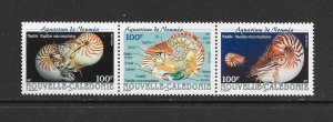 SHELLS - NEW CALEDONIA #872  MNH