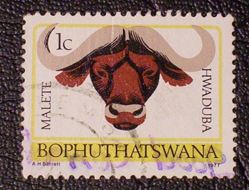 South Africa - Bophuthatswana Scott #5a used