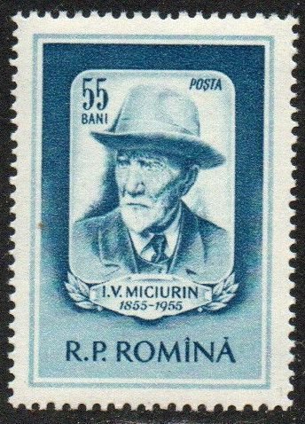 Romania Sc #1060 Mint Hinged