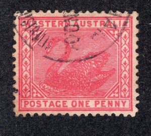 Western Australia 1905 1p rose Swan, Scott 90 used, value = $1.75