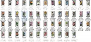 US 2647-2696 Wildflowers 29c single set 50 MNH 1992