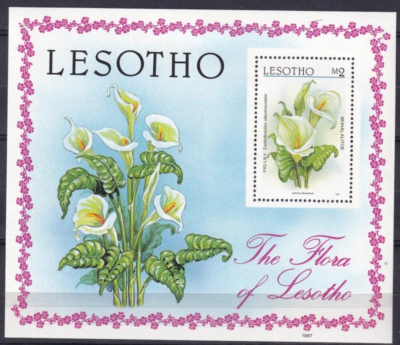 Lesotho #591  MNH CV $3.25  (A19577L)