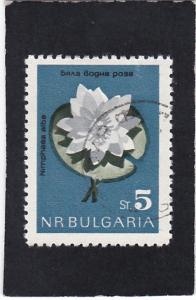 Bulgaria,  #  1295   used