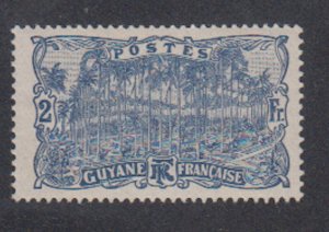 French Guiana - 1905 - SC 82 - MH