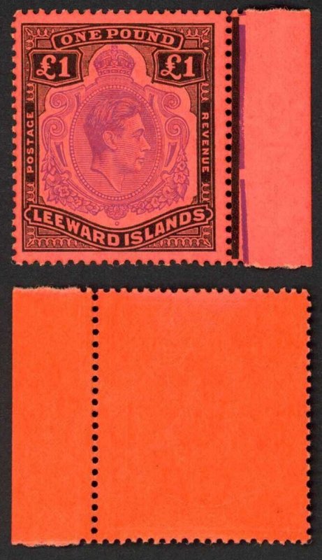 Leeward Is SG114c One Pound Perf 13 Violet and Black/Scarlet U/M Cat 30 pounds