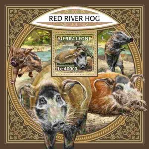 Sierra Leone - 2017 Red River Hog - Stamp Souvenir Sheet - SRL171206b