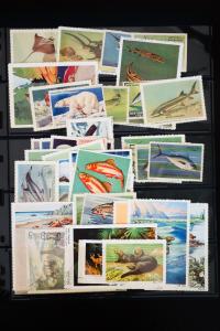 US Wildlife Stamp Collection
