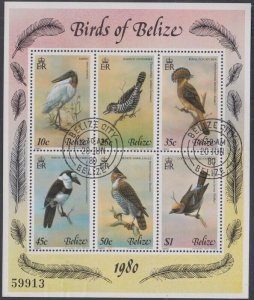 BELIZE Sc# 500a-f USED SOUVENIR SHEET WITH 6 DIFF BIRDS