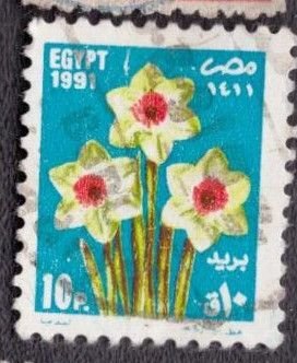 Egypt - 1438 1991 Used