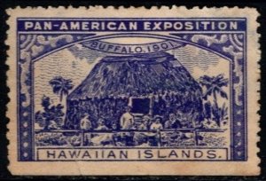 1901 US Poster Stamp Pan American Exposition Hawaiian Islands Unused