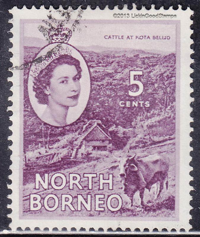 North Borneo 265  Cattle At Kota Belud 1954