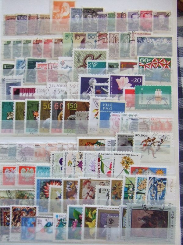 World collection M-P (9 scans)