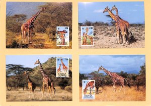 Kenya WWF World Wild Fund for Nature maxicards Reticulated Giraffe