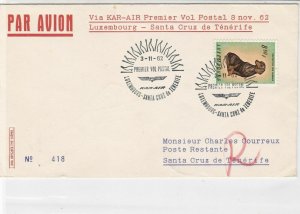 Luxembourg 1962  Airmail Heatwaves Slogan Protect Animals Stamps Cover ref 22744