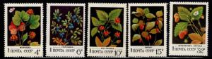 Russia Scott 5023-5027 MNH** Berry Bush set