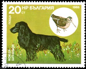 Bulgaria 3131 - Cto - 20s Cocker Spaniel / Woodcock (1985)