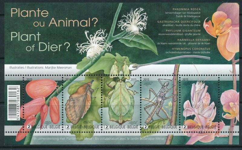 [I500068] Belgium 2015 Flower's Insect good sheet very fine MNH