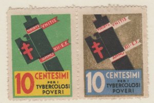 Cinderella or revenue Stamps 6-19-21- Italy no gum