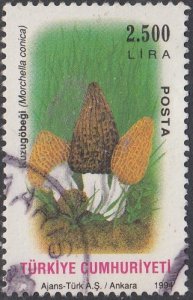 Turkey   #2613  Used