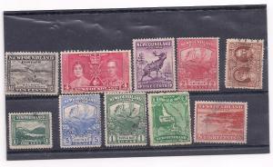 SOLID NEWFOUNDLAND COLLECTION