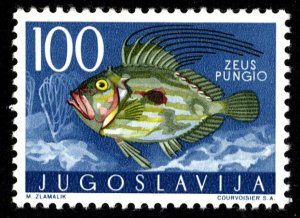 Yugoslavia Scott 460 Mint never hinged.