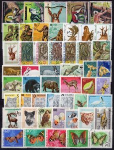 011 - Fauna -Cats -Snake -Monkey -Butterflies - Birds - 50 Different used stamps