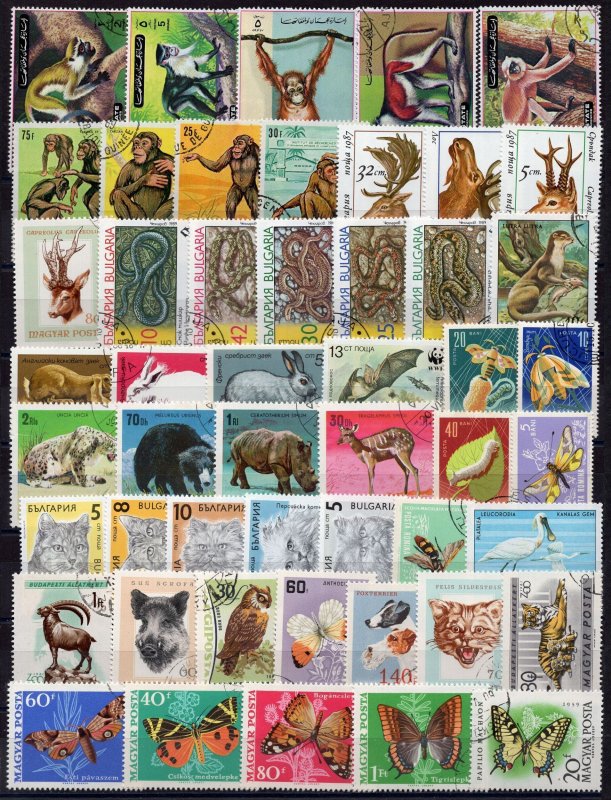 011 - Fauna -Cats -Snake -Monkey -Butterflies - Birds - 50 Different used stamps