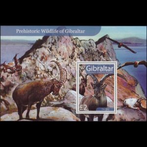 GIBRALTAR 2007 - Scott# 1103 S/S Ibex NH