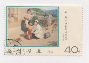 DPR Korea 1976  Scott 1428 used - 40ch, village Doctress