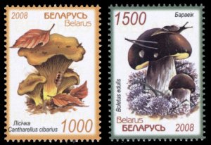 Belarus 2008 Mushrooms Scott #668-669 Mint Never Hinged