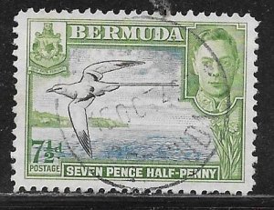 Bermuda 121D: 7.5p White-tailed Tropicbird, used, VF