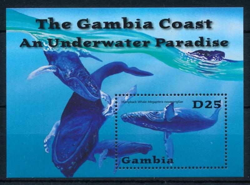 [75689] Gambia 2001 Marine Life Whale Souvenir Sheet MNH