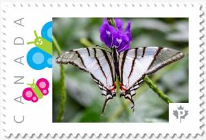 BUTTERFLY striped sails Personalized Postage stamp MNH Canada 2018 p18-06sn22