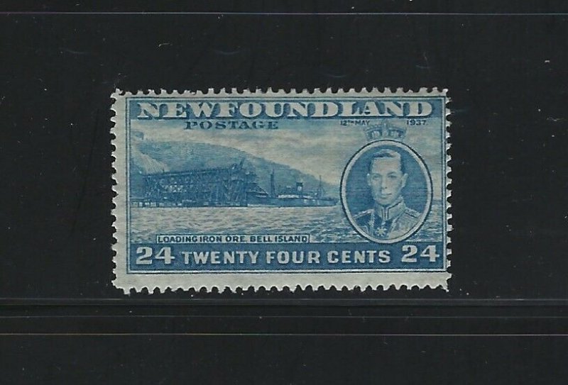 NEWFOUNDLAND - #241 - 24c KING GEORGE VI LONG CORONATION ISSUE MINT STAMP MLH