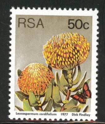 South Africa Scott 489a MNH** 1977 perf 14 stamp