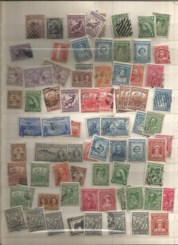 NEWFOUNDLAND COLLECTION, BOTH MINT AN USED