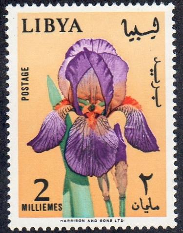 Libya 285 - Mint-H - 2m Bearded Iris (1965) (cv $0.30)