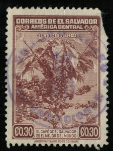 Salvador (T-6647)