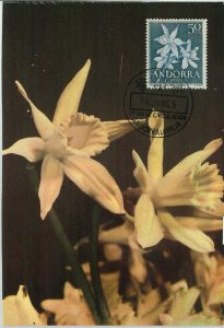 63358 - SPANISH ANDORRA - POSTAL HISTORY: MAXIMUM CARD - FLOWERS 1966-