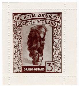 (I.B) Cinderella Collection : Zoological Society of Scotland 3d (Orang-Outang)