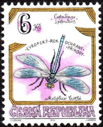 Czech Republic 2953 - Mint-H - 6k Dragonfly (1995) (cv $0.85)