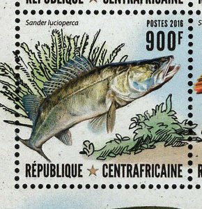 Fish Stamp Sander Lucioperca Scophthalmus Rhombus S/S MNH #6585-6588 